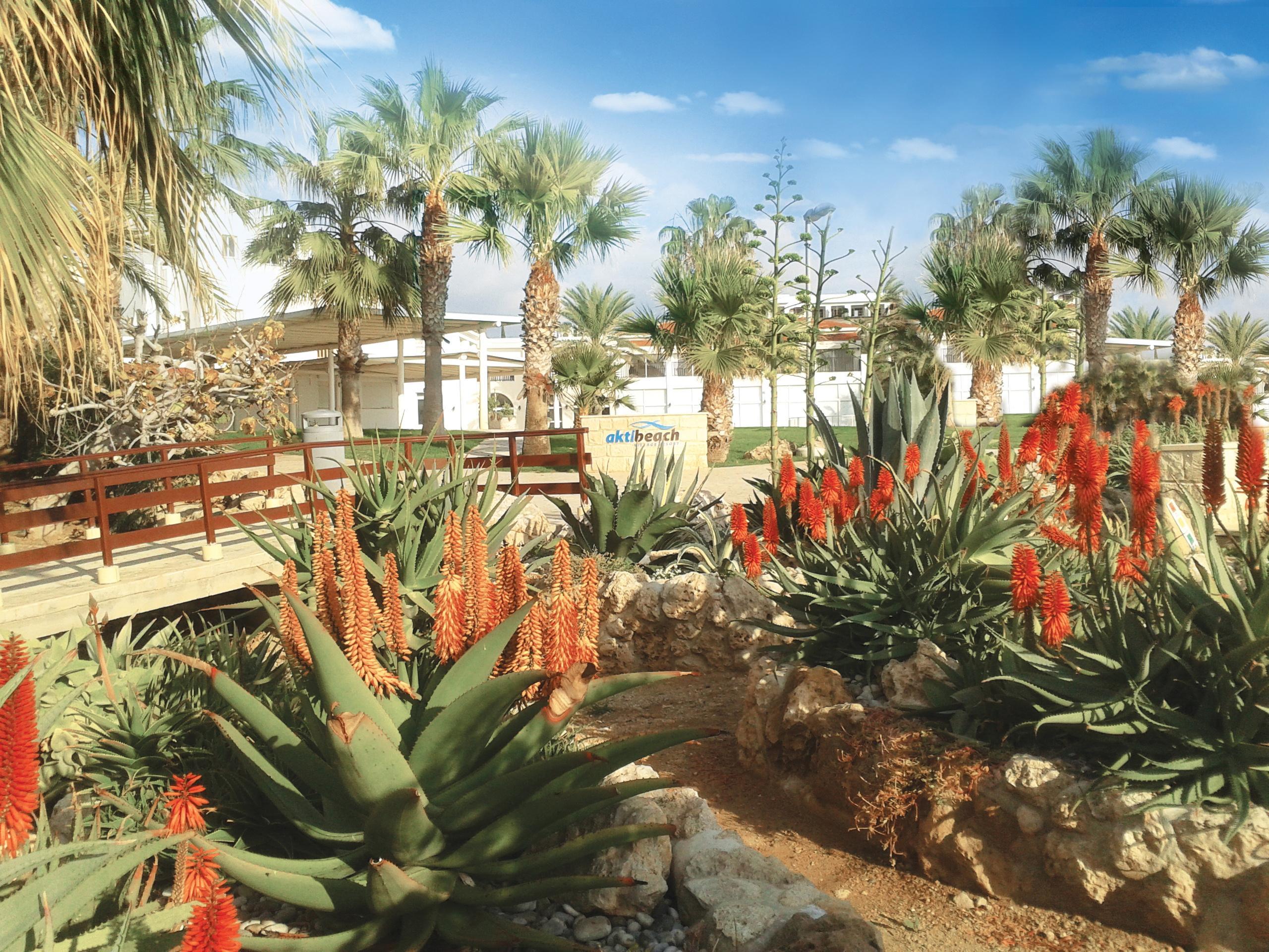 Akti Beach Hotel & Village Resort Klorakas Ngoại thất bức ảnh