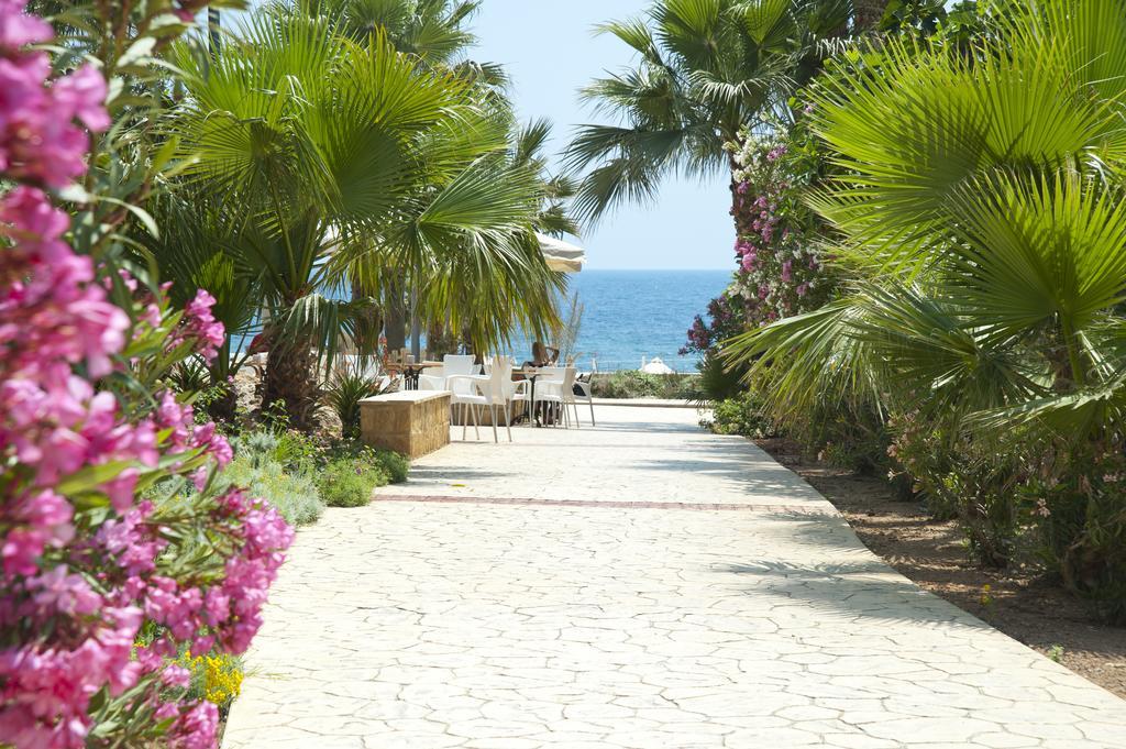 Akti Beach Hotel & Village Resort Klorakas Ngoại thất bức ảnh